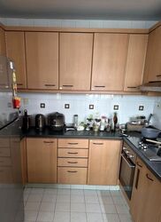Tiara (D9), Condominium #640005891